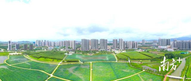 新会全力推进“百千万工程”，绘就城乡区域协调发展新画卷。