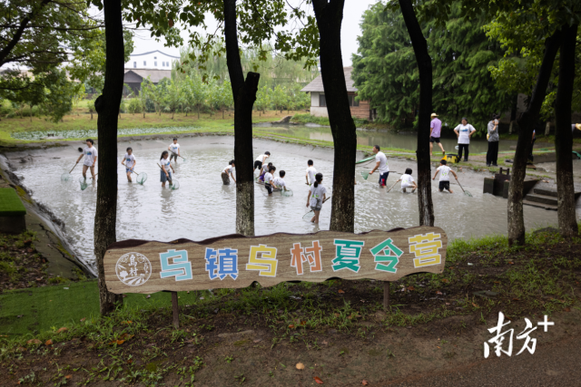 乌镇乌村夏令营让家长与孩子各得其乐。