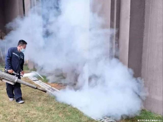 加强消杀“除四害”