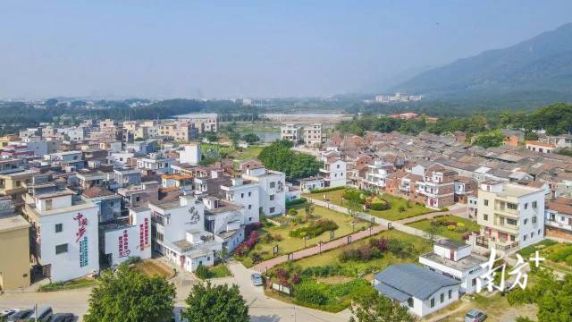 铁岗社区航拍图。高要发布 供图