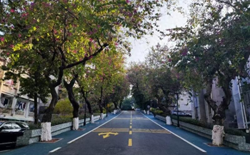 大院焕新还有了专属IP！广州天河首个政企合作旧改小区完工