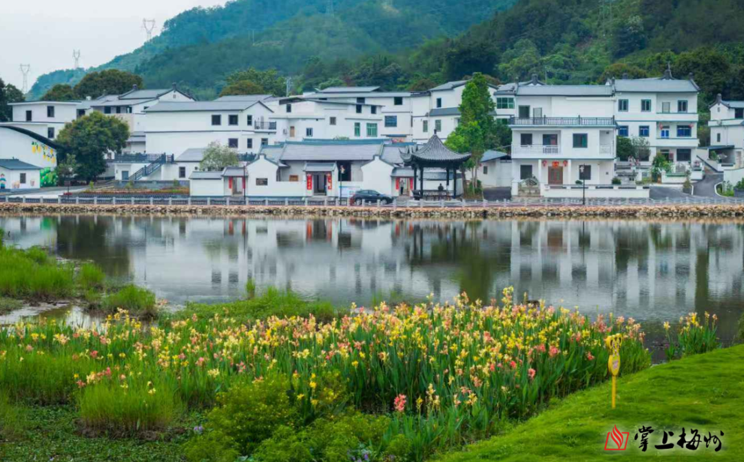 NFC_ARTICLE.title|raw