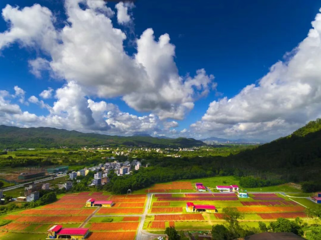 合水镇：一根竹一匹纱，千年古墟何以织出时代新锦绣？