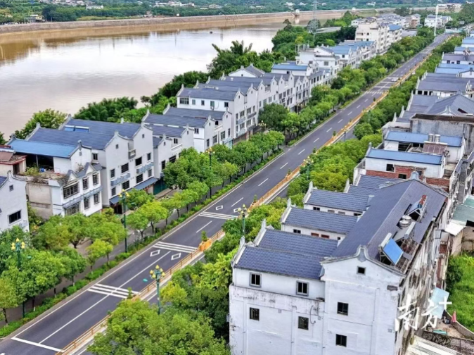 【百千万 粤改行】梅县区雁洋镇：三色同辉 三产融合 三线同美