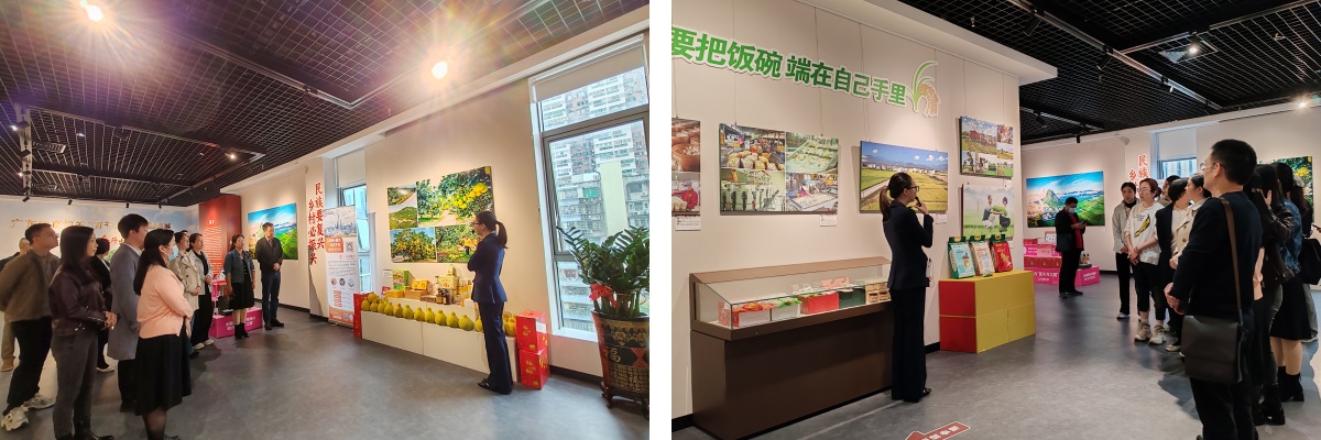 喜看城乡新貌 激发使命担当2.jpg